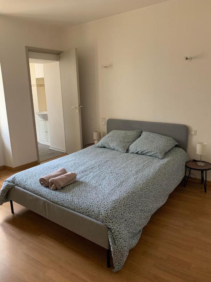 Ravissant Appartement T3 Hypercentre De Mazamet Exterior photo